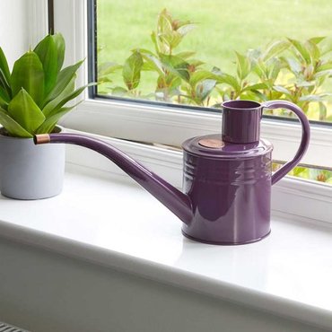 Watering Can Violet 1L
