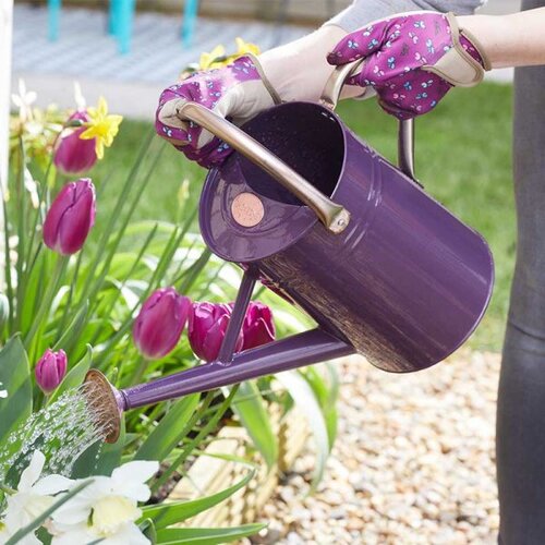 Watering Can Violet 4.5L