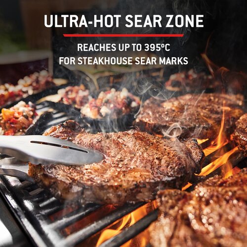 Weber Genesis EP435W - image 3