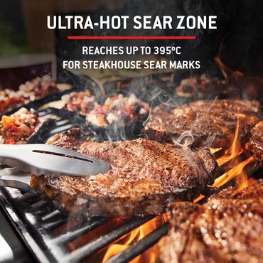 Weber Genesis EP435W - image 3