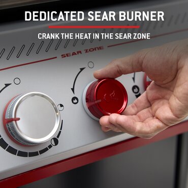 Weber Genesis EP435W - image 4