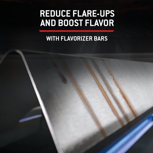 Weber Genesis EP435W - image 6