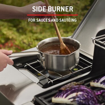 Weber Genesis EP435W - image 7