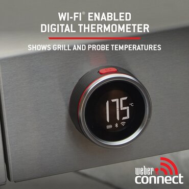 Weber Genesis EP435W - image 9