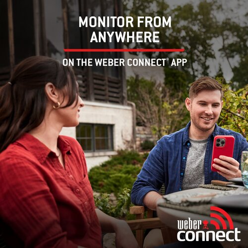 Weber Genesis EP435W - image 11