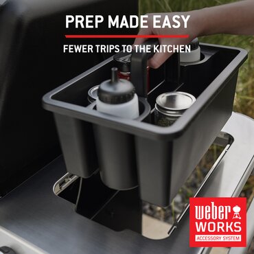 Weber Genesis EP435W - image 12