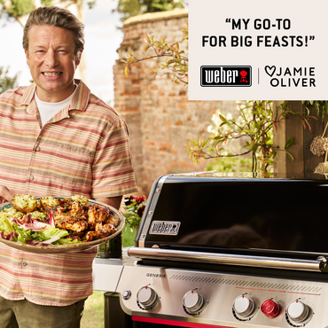 Weber Genesis EP435W - image 8