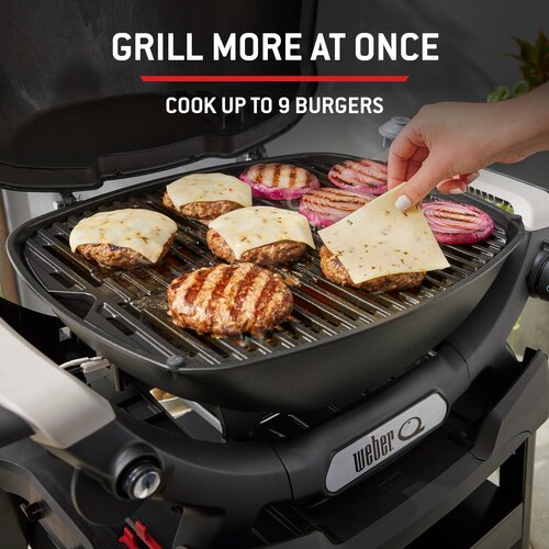 Weber Q1200N with Stand - image 4