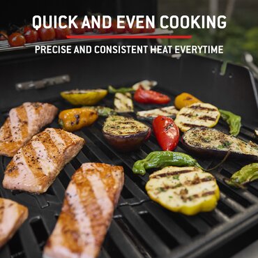 Weber Spirit E315 Black - image 3