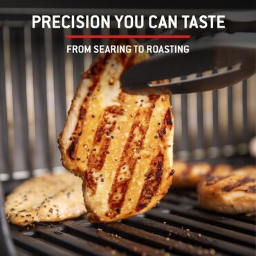 Weber Spirit E335 Black - image 3