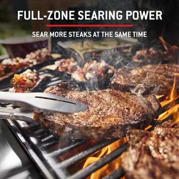 Weber Spirit E335 Black - image 4