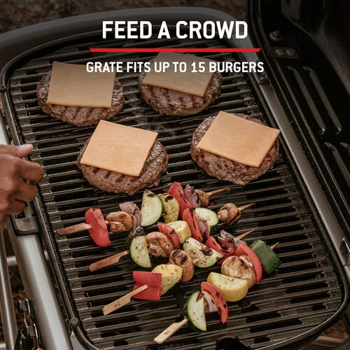 Weber Traveler - image 3