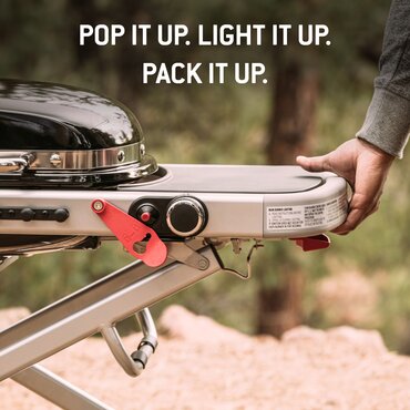 Weber Traveler - image 4