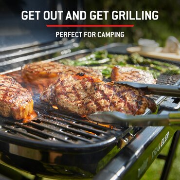 Weber Traveler - image 5