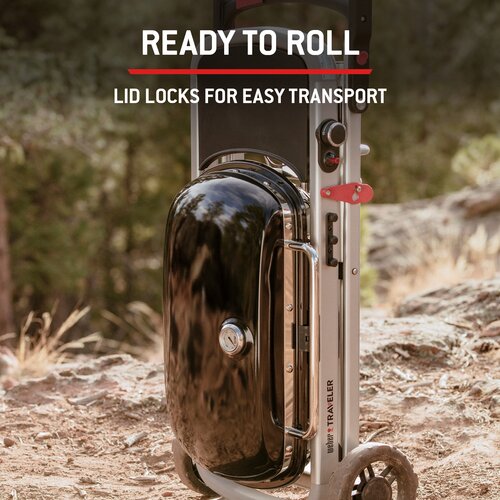 Weber Traveler - image 6