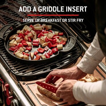 Weber Traveler - image 10