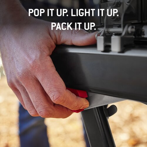 Weber Traveler Compact - image 4