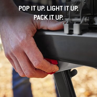 Weber Traveler Compact - image 4