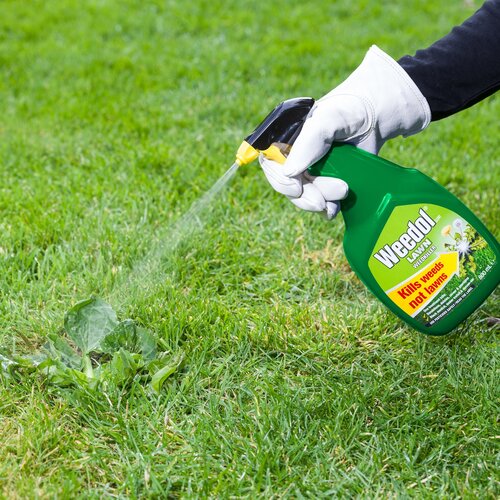 Weedol Gun Lawn 800ml + 25% - image 3