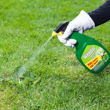 Weedol Gun Lawn 800ml + 25% - image 3