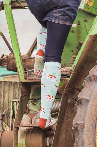 Brown Cow Welly Socks (4-7) - image 2