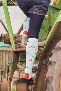Brown Cow Welly Socks (4-7) - image 2