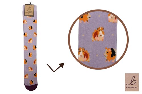 Welly Sock Guinea Pig 4-7