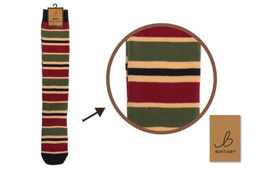 Bold Stripes Welly Socks (6-11)