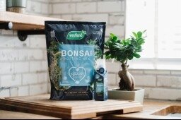 Westland Bonsai Potting Mix Peat Free 4L - image 3