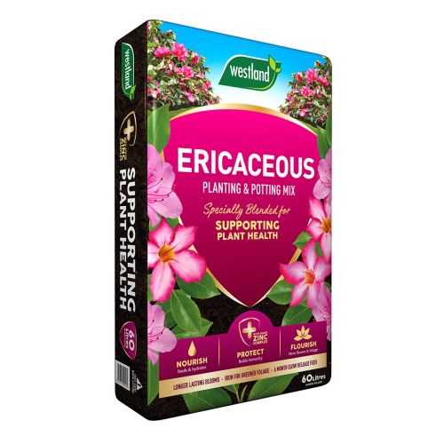 Westland Ericaceous Planting & Potting Mix (60L)