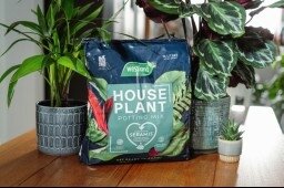 Westland Houseplant Potting Mix Peat Free 10L - image 2