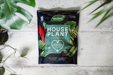 Westland Houseplant Potting Mix Peat Free 4L - image 3