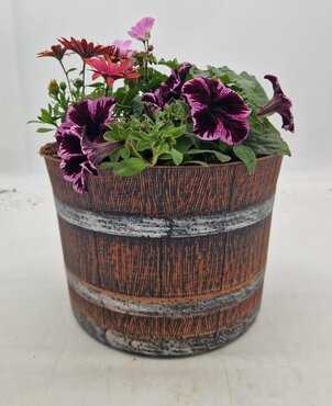 Whiskey Barrel Planter  30cm