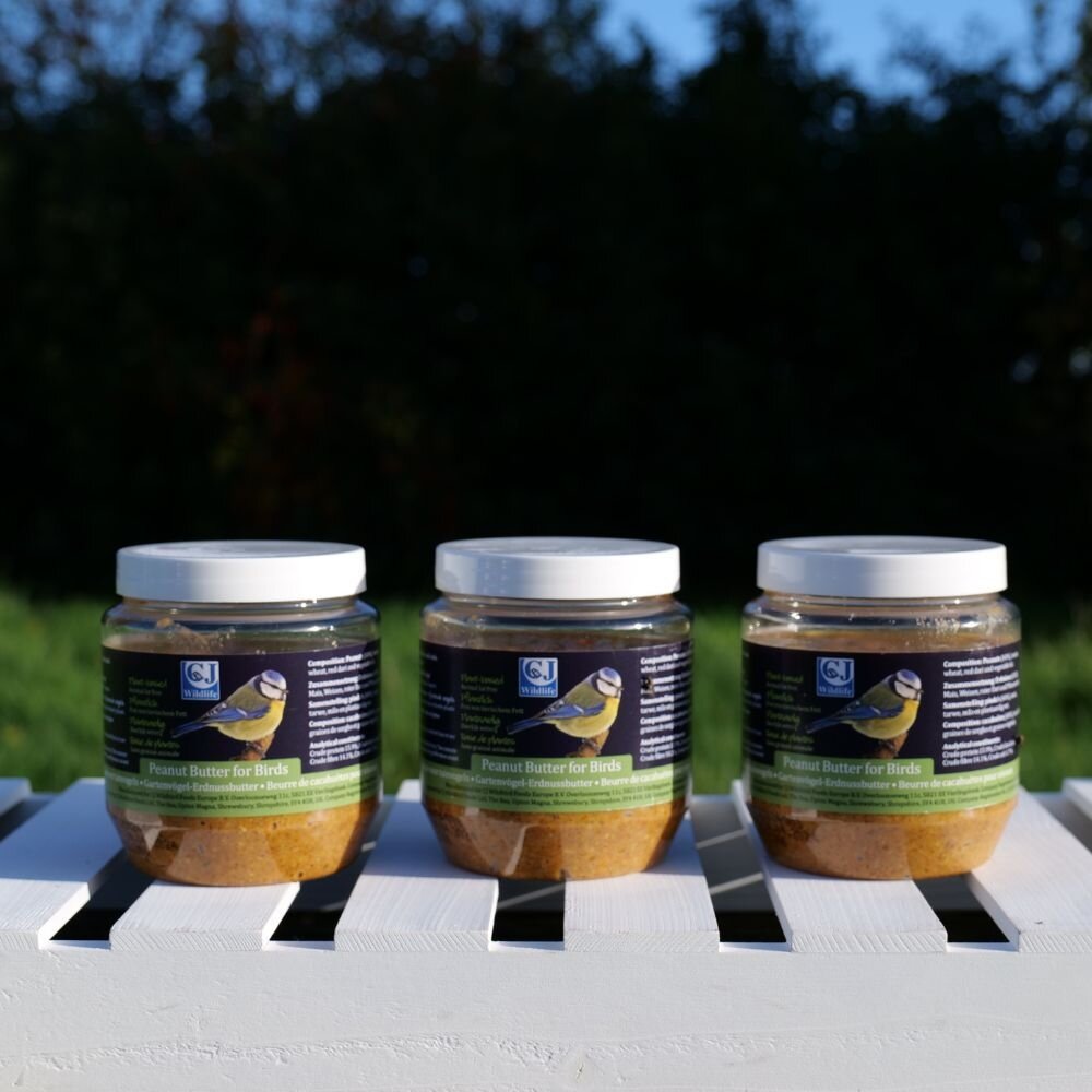 Wild Bird Peanut Butter Jar Stewarts Garden Centre