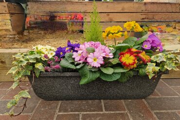 Willow Box Planter 60cm