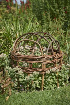 Willow Herbaceous Cloche - image 2
