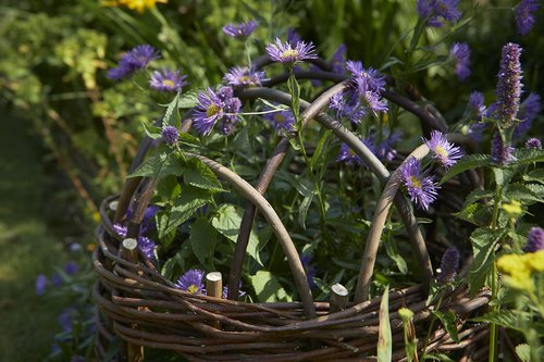 Willow Herbaceous Cloche - image 2