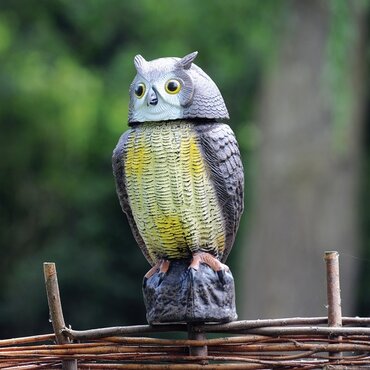 Wind-Action Owl - image 3