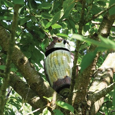 Wind-Action Owl - image 4