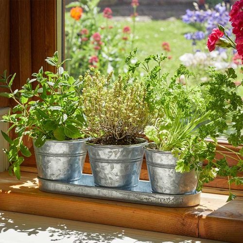Windowsill Herb Pots Galvanised 3/Pk