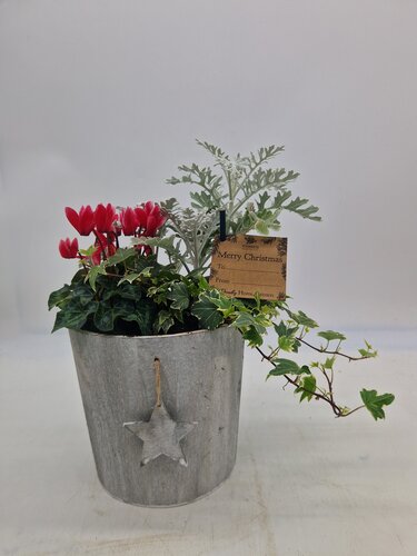 Wood Planter Round with Hanging Star