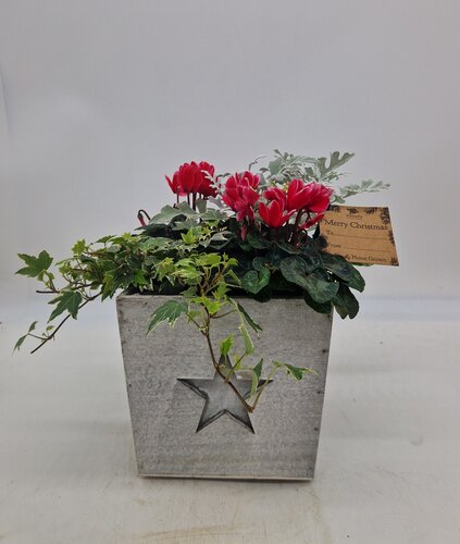Wood Planter Square Engraved Star
