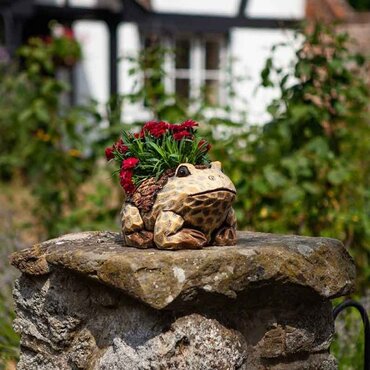 Woodland Planter Frog - image 2