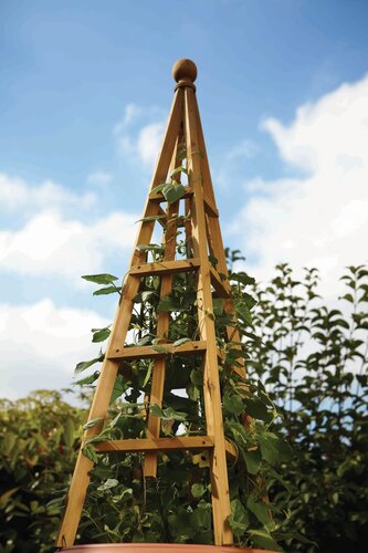 Woodland Obelisk Large Tan 1.9m - image 3