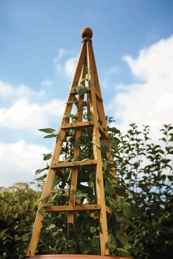 Woodland Obelisk Large Tan 1.9m - image 3