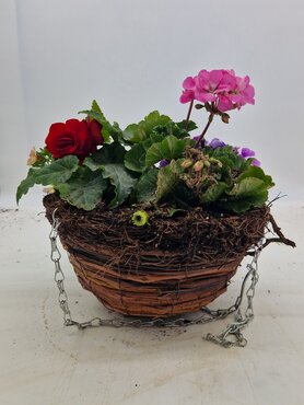Woodland Round Hanging Basket 30cm