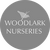 Woodlark