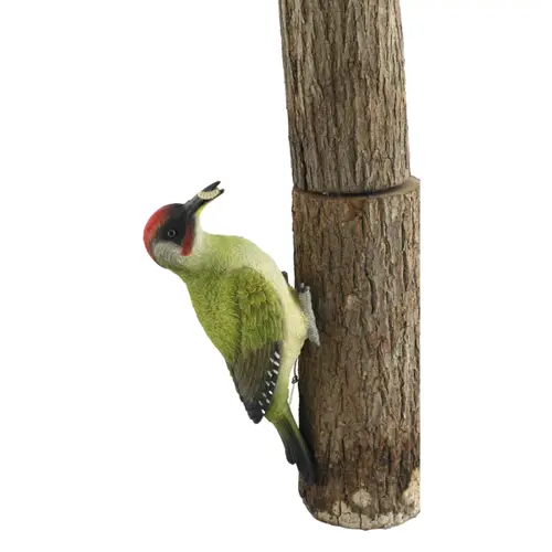 Woodpecker 1 Resin