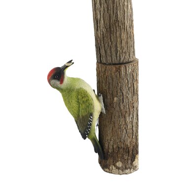Woodpecker 2 Resin