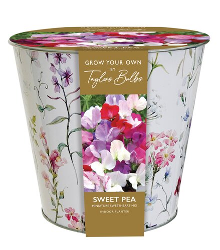 Zinc Floral Sweet Pea Planter